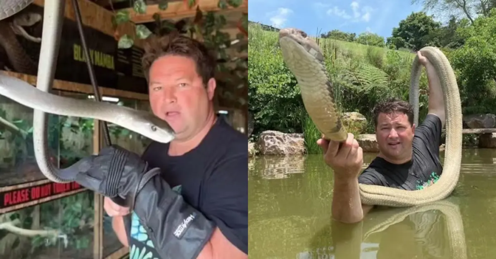 image-1024x536 Youtuber de cobras morre após ser picado pela espécie ‘mais venenosa do mundo’