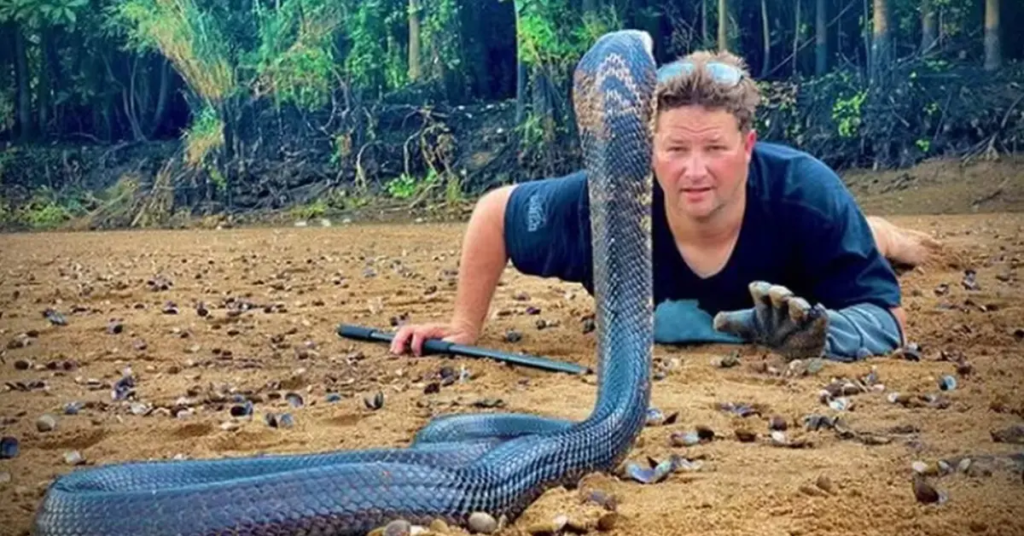 image-2 Youtuber de cobras morre após ser picado pela espécie ‘mais venenosa do mundo’