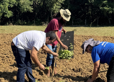 image-10 🌱✨ Terreno de Zeca Pagodinho vira horta comunitária e passa a alimentar famílias em situação de fome na Baixada Fluminense