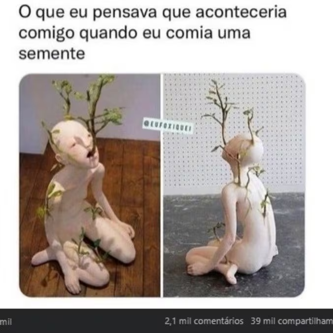 image-470 😱 Verdade Chocante: O Que Realmente Acontece Se Você Engolir Uma Semente – E Por Que Algumas Podem Até Ser Perigosas!