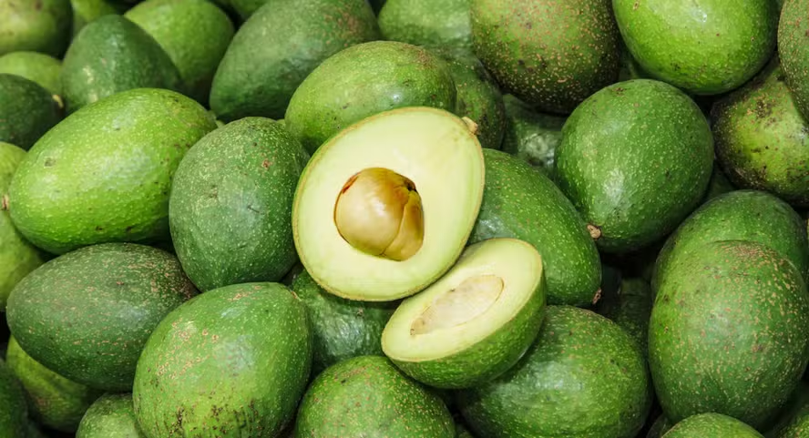 image-473 😱 Verdade Chocante: O Que Realmente Acontece Se Você Engolir Uma Semente – E Por Que Algumas Podem Até Ser Perigosas!