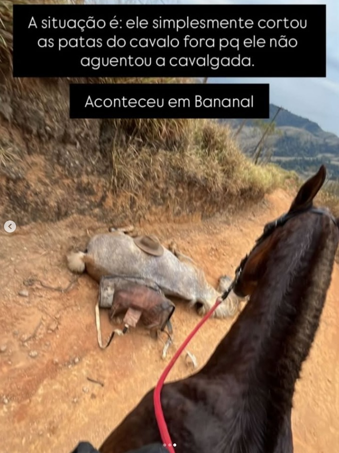 image-575 Horror em Bananal: cavalo é mutilado após cavalgada e caso gera revolta