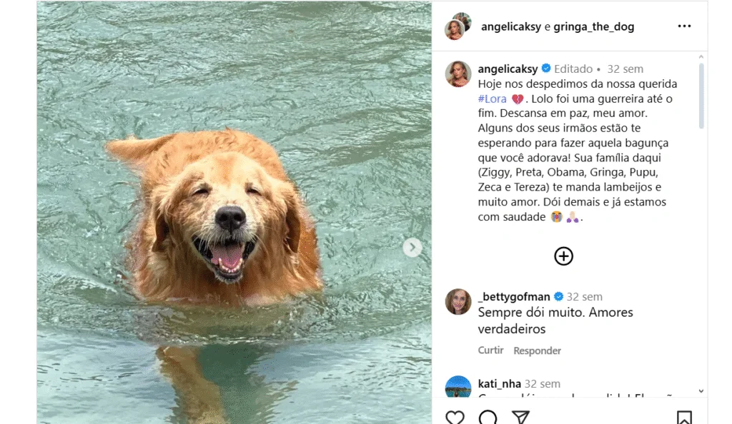 image-684 “Descansa, meu amor”: Angélica e Luciano Huck vivem luto com a morte da cachorrinha Lora
