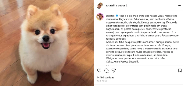 image-783 LUTO NA TV: CELSO ZUCATELLI ANUNCIA MORTE DE SEU CACHORRO PAÇOCA E DESABAFA NAS REDES SOCIAIS